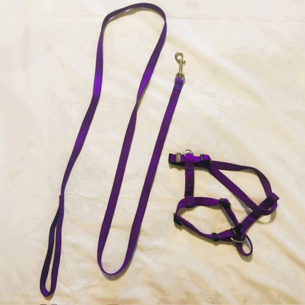Dog Harness and Leash Unbranded Purple Medium Adjustable